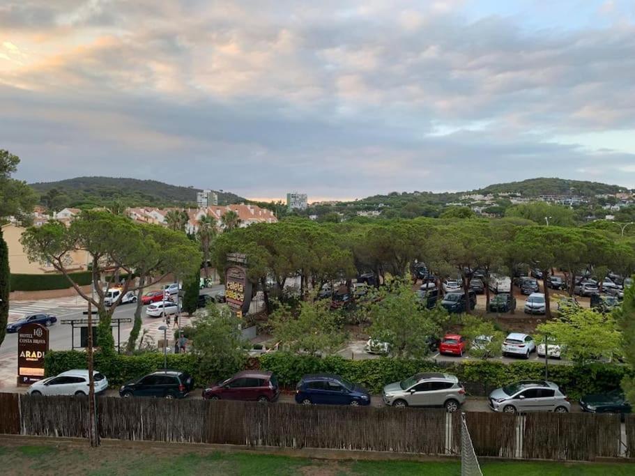 Amplio Apartamento Con Piscina Al Lado De La Playa 普拉加德阿罗 外观 照片